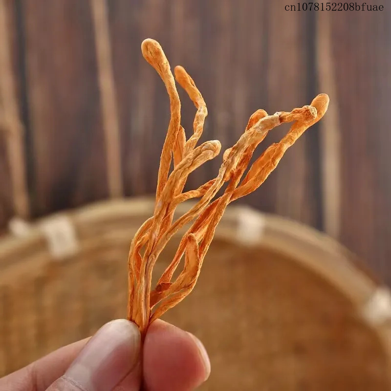 250g/500g Dried Cordyceps Flow - Chamomile Tea review and price