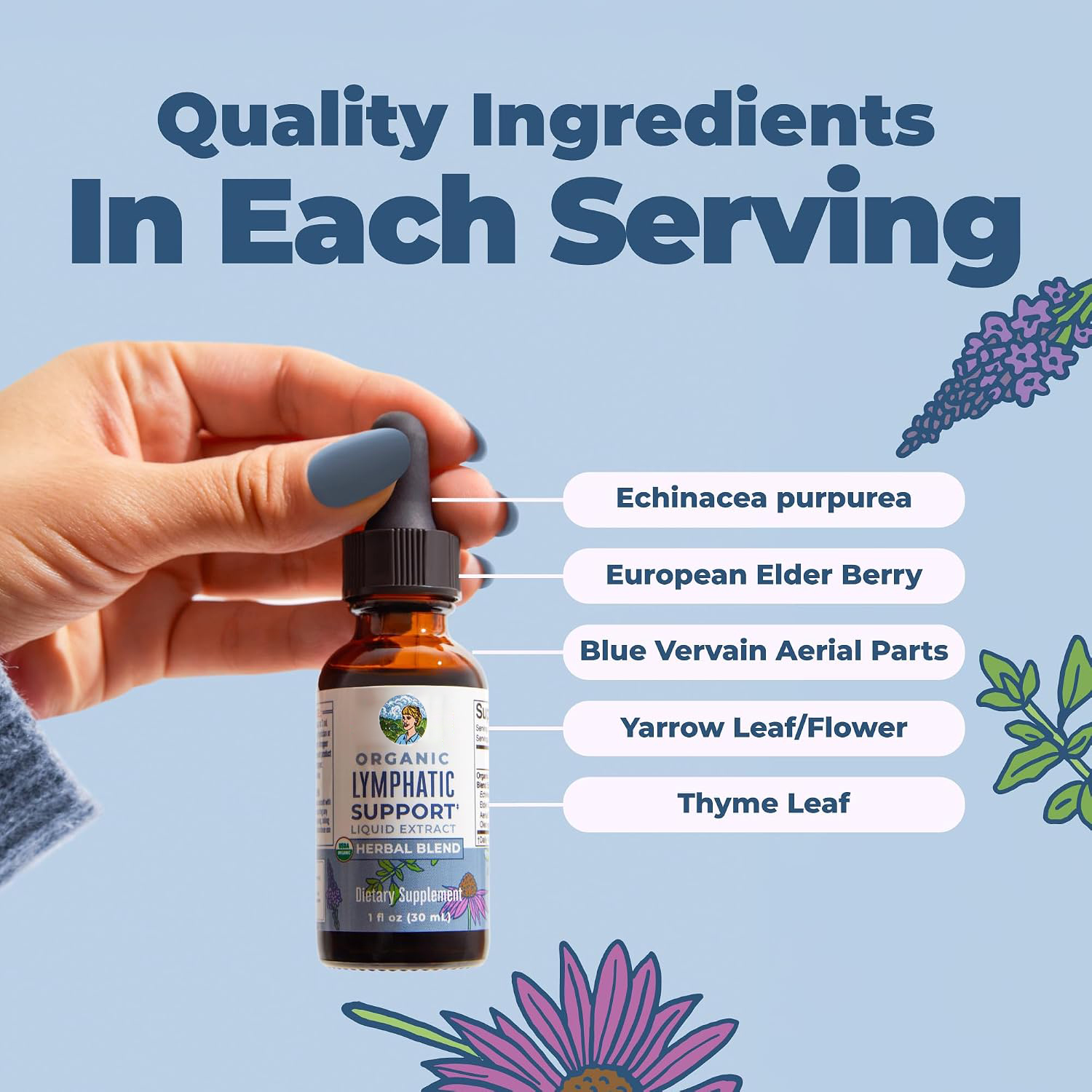 Organic Lymphatic Support Liqu - Echinacea review and price