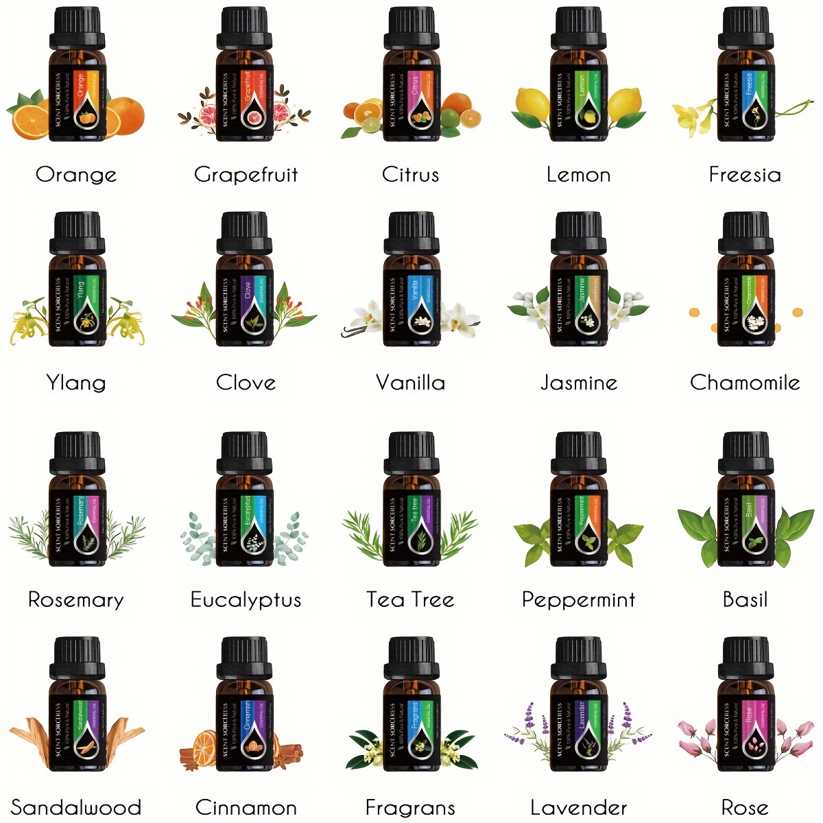 20Pcs/Set Classic Brand Essent - Lavender Oil review and price